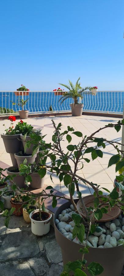 Apartments Matea Studio Apartment Štikovica Dış mekan fotoğraf